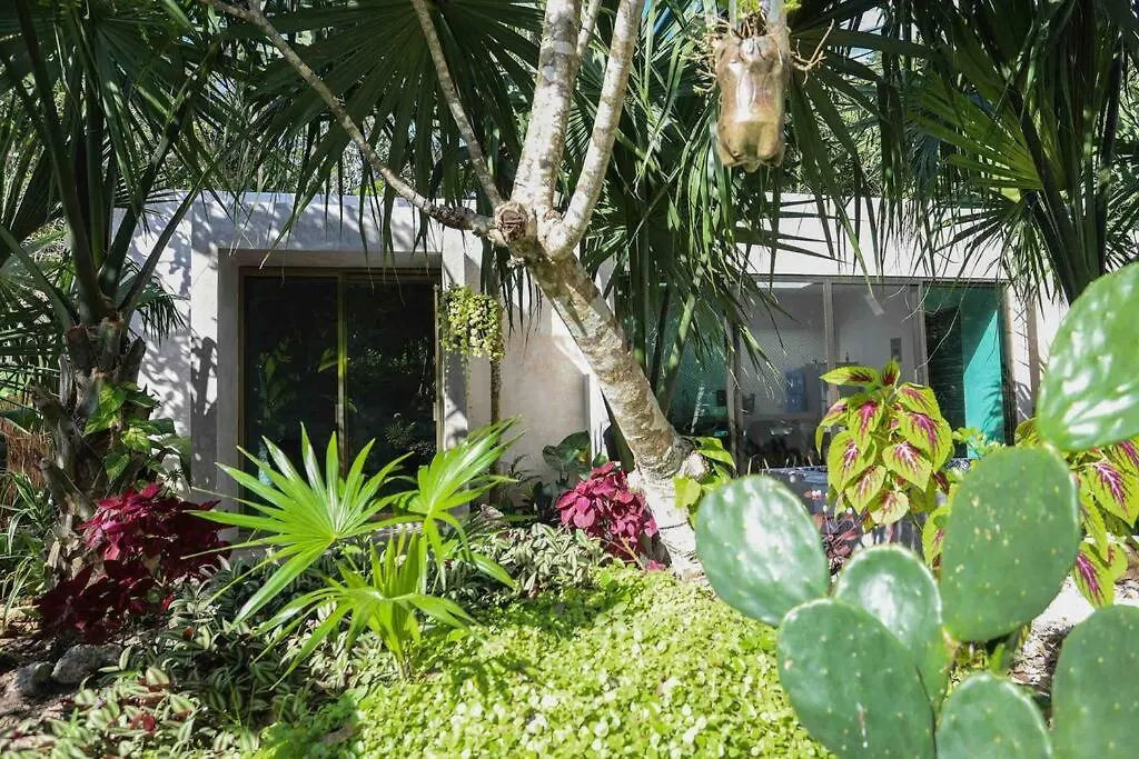 Villa Alebrije With Pool Near Bacalar Lagoon Buenavista
